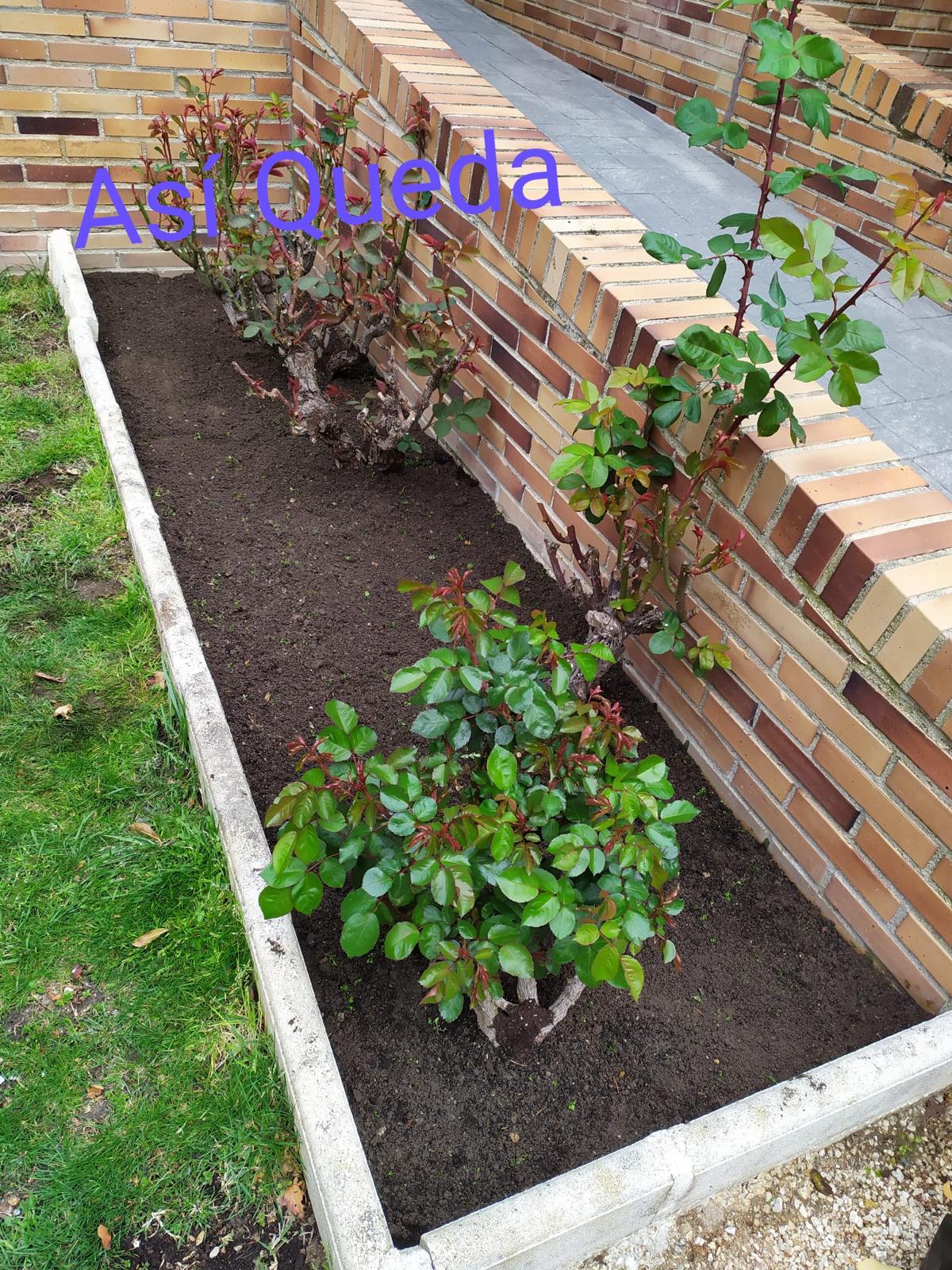 Jardinería